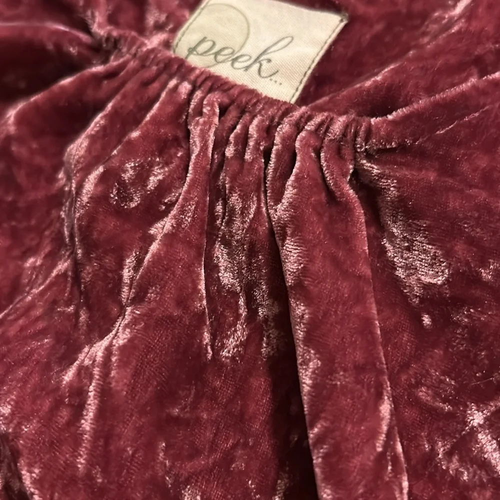 Peek Kids Burgundy Velvet Dress S 4-5